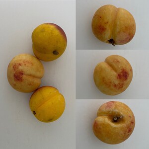 May include: Five yellow peaches with red blush on a white surface. The peaches are round and have a smooth skin.