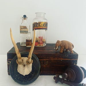 May include: An antique display featuring a wooden box, a mounted deer antler, glass bottles with labels, a wooden elephant figurine, and a wooden gavel. The bottles have labels that read "GLYCERIN" and "CRET.CA".