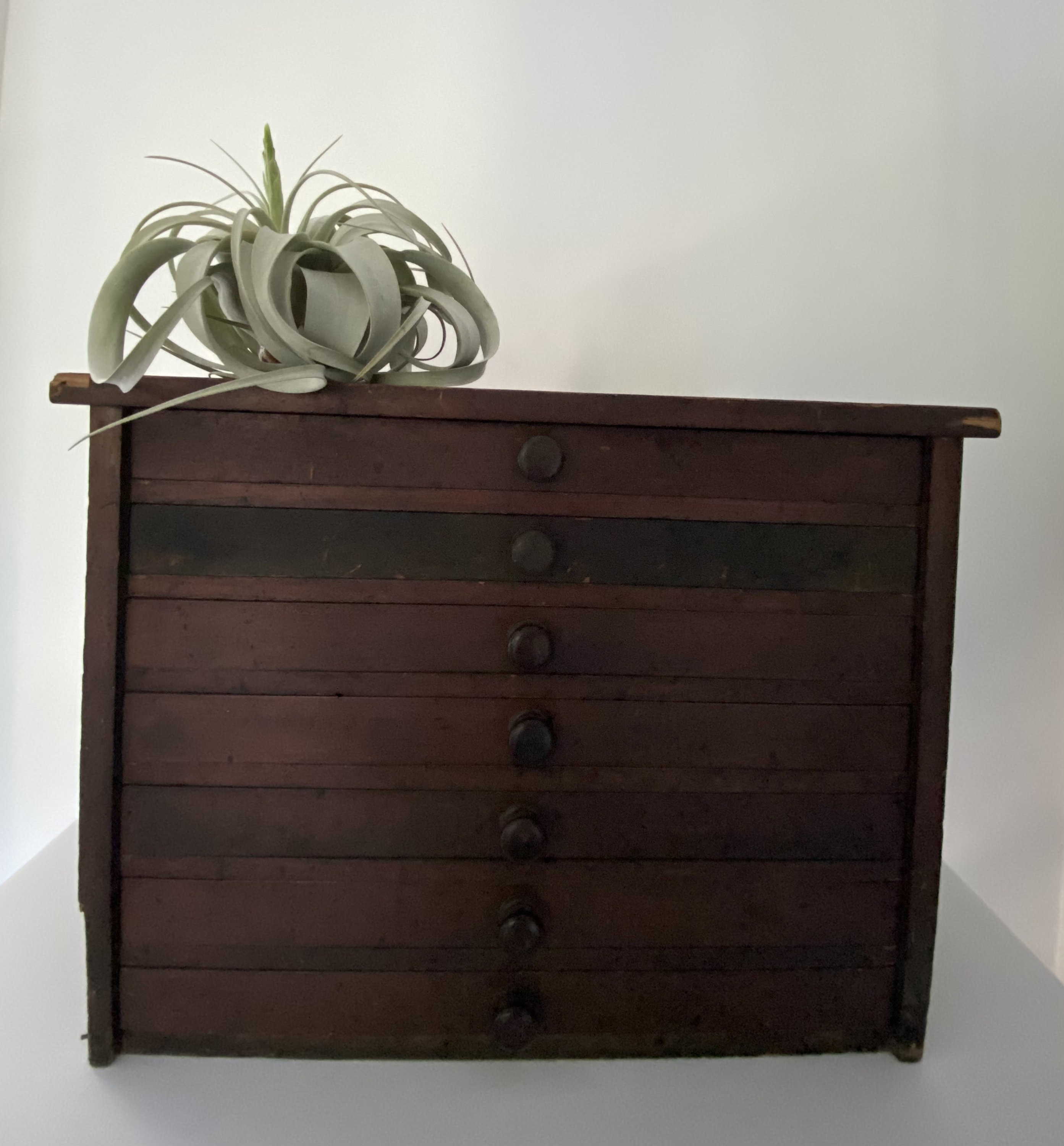Vintage Watchmakers Cabinet With Watch Glass