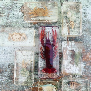May include: Collection of encased sea creatures in clear resin blocks. Includes a red lobster, crabs, a seahorse, fish, and hermit crabs. The resin blocks are rectangular and sit on a distressed, weathered wooden surface.