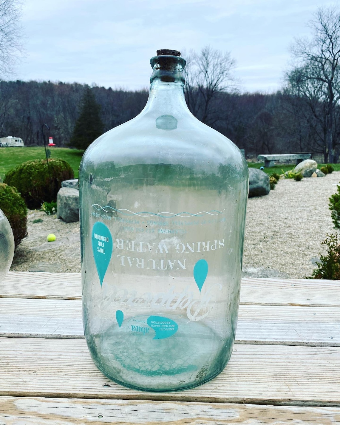 Vintage Carboy / Water Jug Etsy