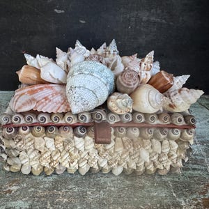 May include: A rectangular box covered in various seashells of different shapes, sizes, and colors including white, tan, brown, and grey. The lid is adorned with larger, prominent shells, while the sides feature rows of small, uniform spiral shells.