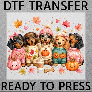 May include: A DTF transfer ready to press featuring five dachshunds wearing sweaters and hats, surrounded by autumn leaves, hearts, and pumpkins. The dogs are depicted in various colors, including black, tan, and dapple, with a coffee cup and bone.