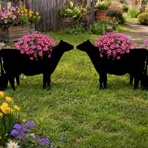 May include: Two black metal cow-shaped planters filled with vibrant pink flowers. The planters are placed on a grassy lawn, with a wooden fence and various flower beds in the background. A charming garden decor.