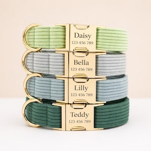 Dog Collar with Engraved Name | Personalized Luxury Pet Collar | Adjustable | Sizes XS To XL |