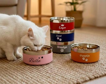 Personalized Pet Bowl | Custom Name Stainless Steel Cat & Dog Feeder