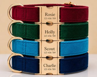 Luxury Velvet Dog Collar with Engraved Name | Personalized Name Puppy Collar with Phone Number | Dog Collar Boy | Dog Collar Girl | Dog Gift