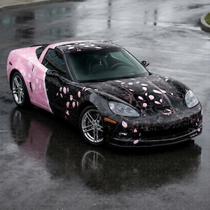May include: A black and pink sports car with a floral design. The car's roof and one side are pink, while the rest is black with pink flower petal graphics. The car is parked on a wet, reflective surface.