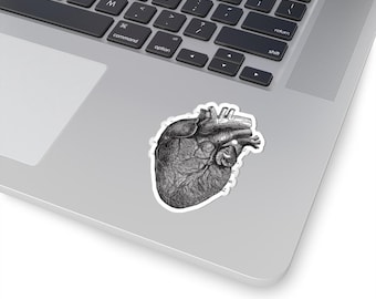 Anatomische hartsticker – vintage anatomische illustratie – sticker medisch en biologie