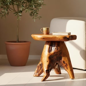 May include: A natural wood side table with a unique, organic design. The table has a round top and a base that resembles tree roots. A small mug and a book rest on the table. A potted plant and a white sofa are in the background.