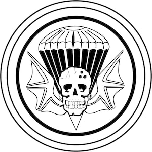 May include: Black and white circular emblem featuring a skull with a parachute above it. Two stylized wings flank the skull, and the design is enclosed within two concentric circles.