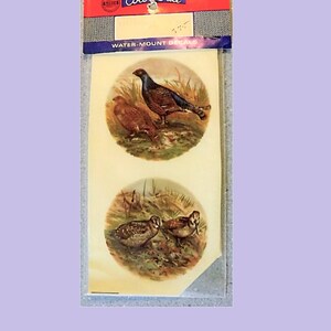 Vintage Water Mount Decals - Game Birds Male/Female Pairs-  Set of 4 Different Designs - Small Size