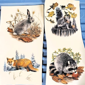 May include: Four nature-themed illustrations featuring wildlife. A gray rabbit sits among dry grass and leaves. A squirrel perches on a tree stump with acorns. An orange fox stands in a snowy landscape. A raccoon eats an apple.