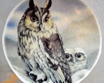 Vintage Water Mount Decal  -  Gorgeous Long Eared Owl and Baby  -  Large Size