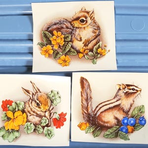 May include: Three vintage-style animal illustrations on white paper. One shows a chipmunk with yellow flowers, another a rabbit with red and yellow flowers, and the last a chipmunk with blueberries. The illustrations have a brown, orange, and green color palette.