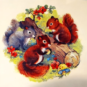 May include: A vintage illustration featuring three squirrels in a woodland setting. Two squirrels are reddish-brown, and one is gray. The scene includes red flowers, blue flowers, and a mushroom.
