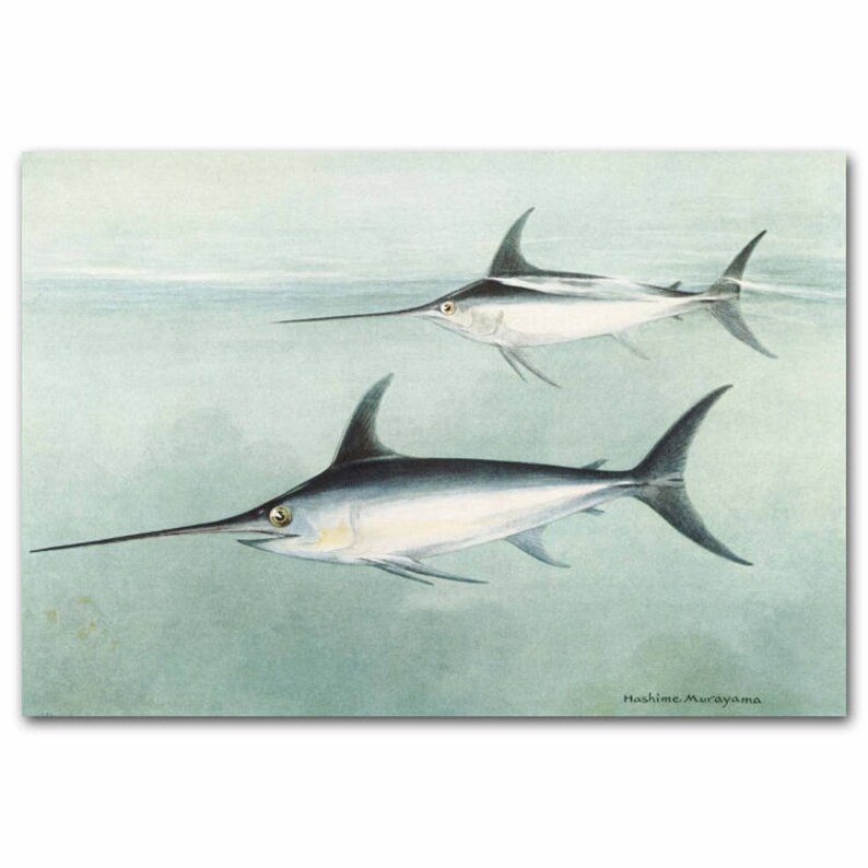 Swordfish Art Vintage Fish Print 1930s Ocean Wall Decor Saler Artwork Fathers Day Gift For Him Cresting No 74