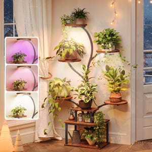 May include: A multi-tiered plant stand with several potted plants. The stand has a dark metal frame and wooden shelves. The plants are various shades of green. A lamp with a grow light is shown in the corner.