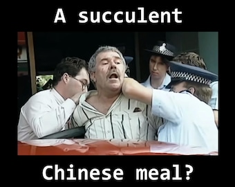 Succulent Chinese Meal Meme T-Shirt - Funny Internet Joke Tee