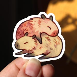 May include: A sticker featuring two cartoon capybaras. The top capybara is a reddish-brown color, and the bottom capybara is a light tan color. The capybaras are cuddling together. The sticker has a white border.
