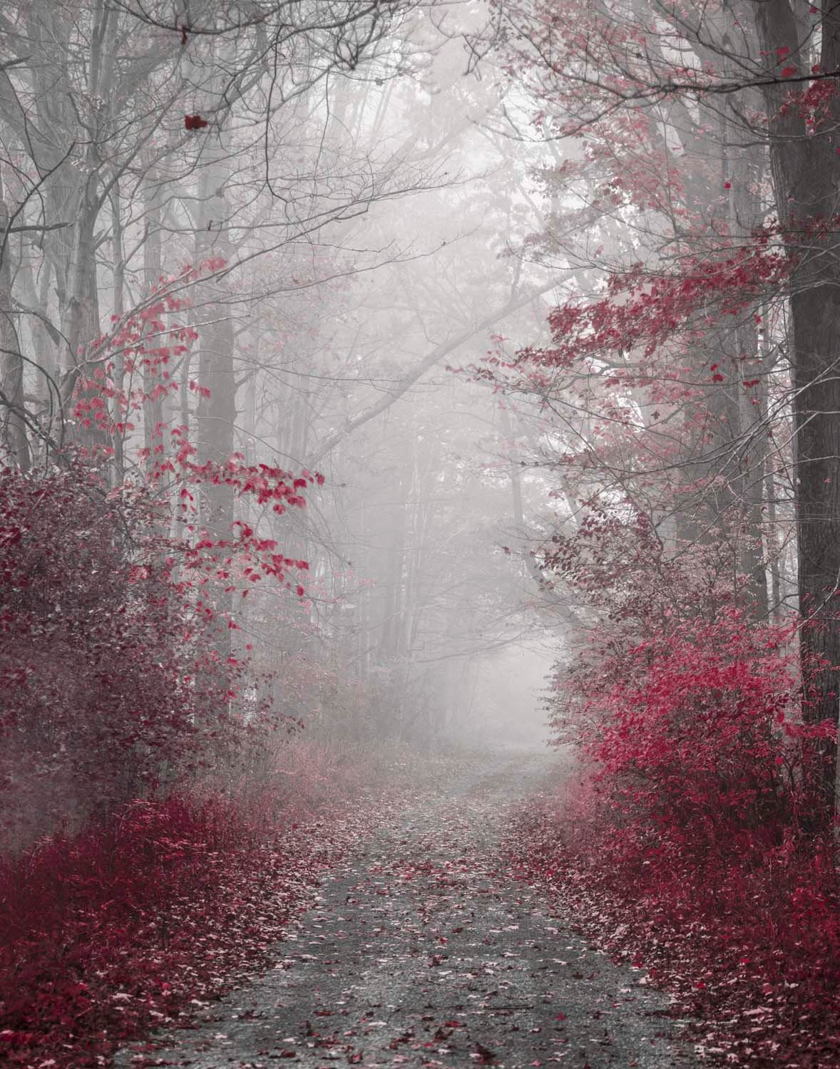 Burgundy wall art Set of 3 burgundy prints burgundy and gray Etsy