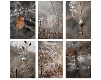 Nature Wall Set, CHOOSE 4, Set of 4 prints, brown and black wall art, nature photography