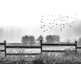 Black and White wall art, photography, misty landscape, foggy landscape