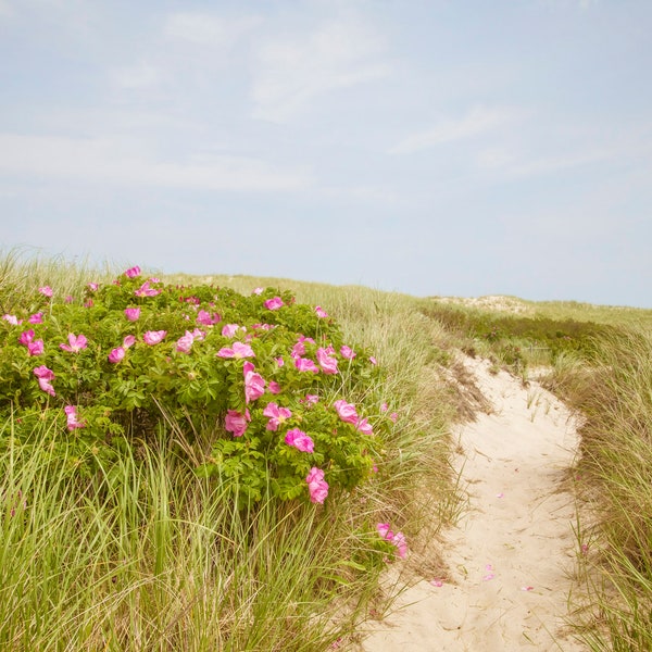 Cape Cod art, Cold Storage Beach, Dennis MA beach print, Cape Cod gifts