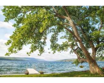 Canandaigua Lake, lake art, Finger Lakes Art, tree wall art