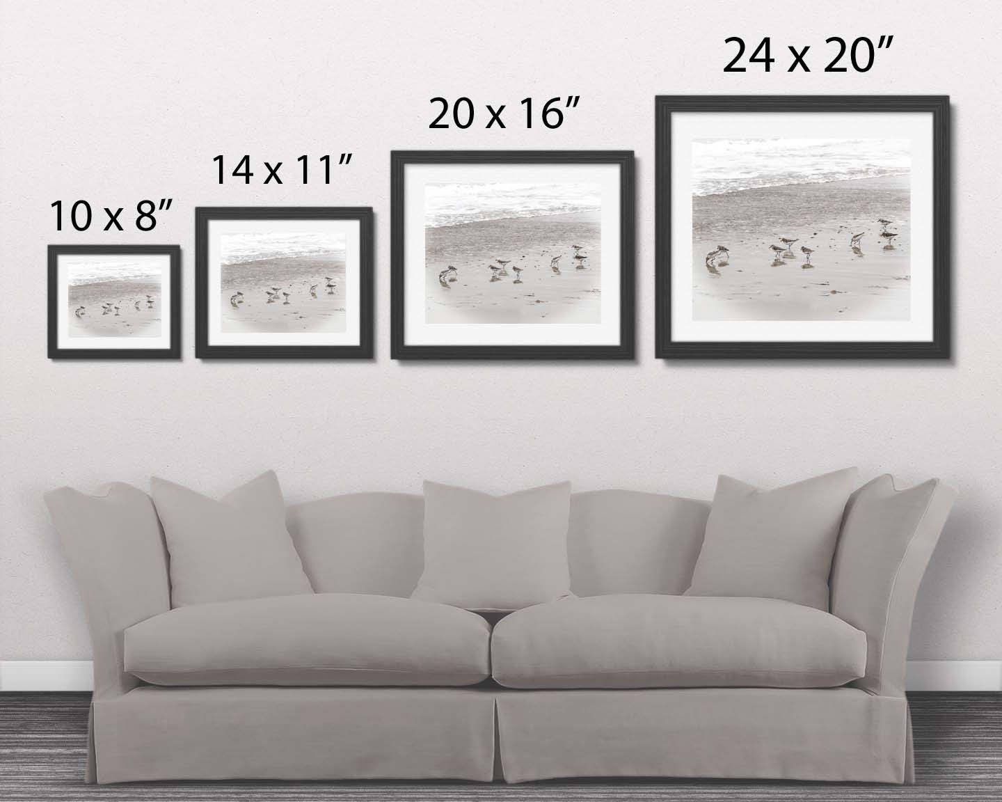 Sandpiper Wall Art Bird Photography 14x11 Bird Wall Art Etsy Canada