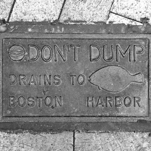 Boston Art Black and White Photography 7x5 Small Boston photography Boston street sign photo Boston decor gray Art print Boston Harbor Fish