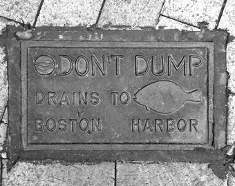 Boston Art Black and White Photography 7x5 Small Boston photography Boston street sign photo Boston decor gray Art print Boston Harbor Fish