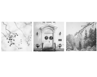 set of three 5x5 black and white winter photography, Cazenovia