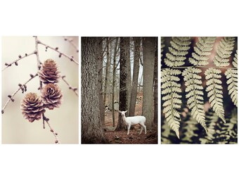 Set of 3 Woodland Wall art, Set of Three Nature Photography, Sage and Beige Wall art