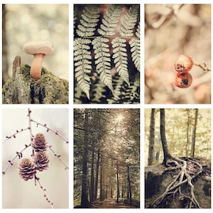 Nature, Gallery Wall Set, 4x6, Nature Photography, Set of Six, Photos,  Forest, Gallery Wall Art, Nature Art, Living Room Art