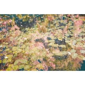 impressionist art, pastel wall art, lily pad art, impressionist prints