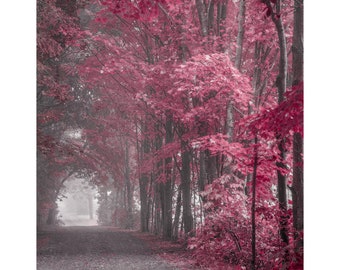 burgundy wall art, PURPLE PINK Burgundy, misty forest print, misty road print, bright plum art