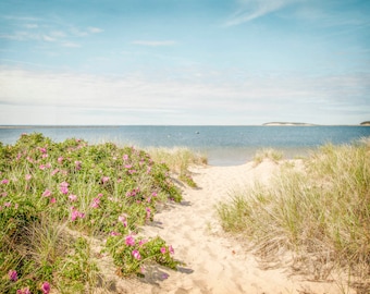 Art Wellfleet, art mural Cape Cod, impression de plage, plage de Mayo, cadeaux Cape Cod