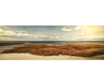 Cape Cod art, earth tones wall art, Brewster MA, panoramic landscape art, rust wall art, seascape