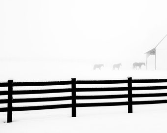 5x7 horse wall art, winter art, horse art, black and white photography, minimalist photography