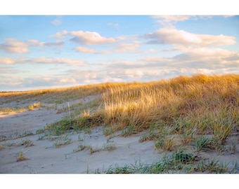 Cape Cod Beach Print: Sun-Dappled Sea Grass, Coastal Wall Art