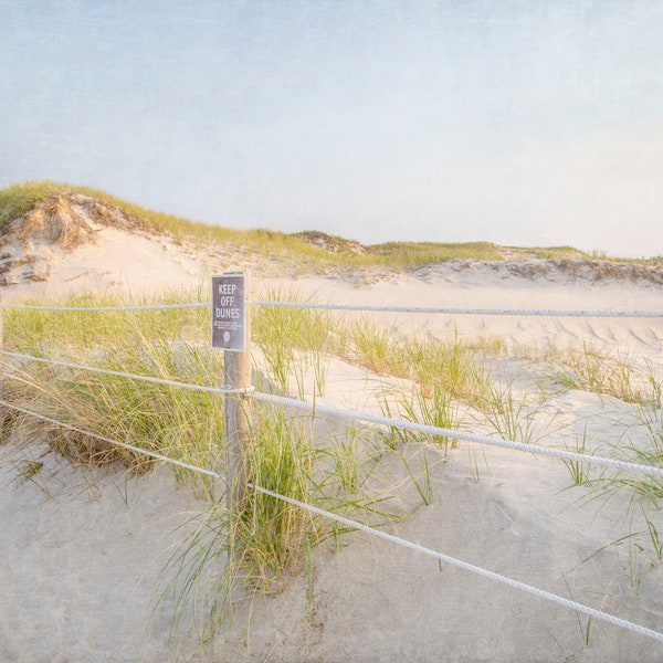 Cape Cod Gift 60+ Gift Ideas for 2024