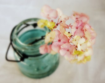 Pink and Yellow Hydrangea Art 10x8" Floral Photo