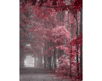 burgundy wall art, misty forest print, burgundy and gray wall art, burgundy prints, burgundy artwork