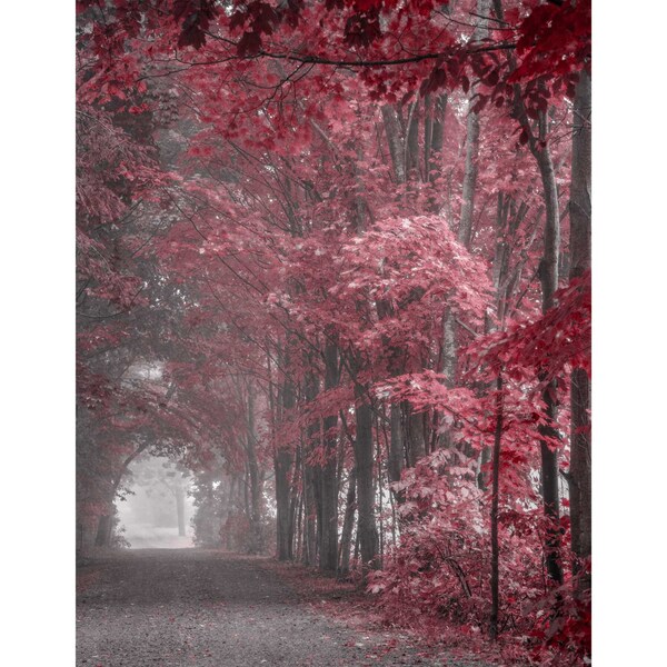 Burgundy Wall Art Etsy