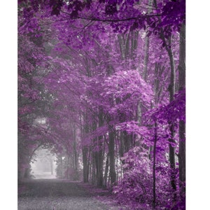 purple wall art, misty forest print, purple and gray wall art