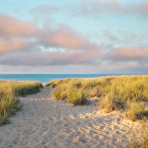 May include: A sandy path leads through tall green grasses to a blue ocean horizon under a cloudy sky.