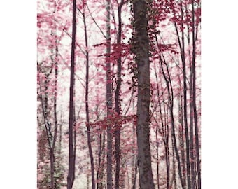 Forest Print, Burgundy wall art, Maroon Wall Art, Forest Wall art, Woodland Print, 11x14 Burgundy artwork, burgundy prints, ethereal art