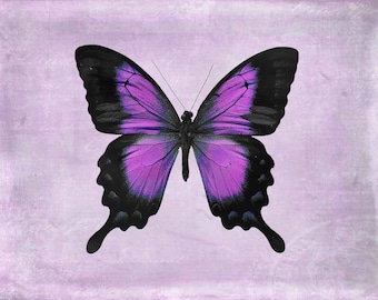 Purple Butterfly Print, Butterfly Wall Art, Purple Wall Art, Butterfly Canvas Art, Purple Nursery Decor, Purple Nursery Wall Art