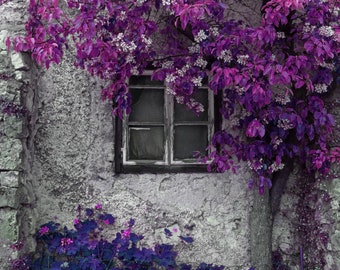 purple wall art, bright purple art, purple floral art, purple and gray art